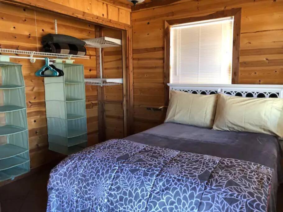 Cottonwood Creek Cabins - Alpine, Tx Exterior foto